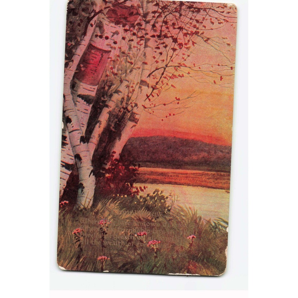 Vintage 1908 Birch Trees River Sunset Postcard 1c Franklin Stamp Kinmundy IL